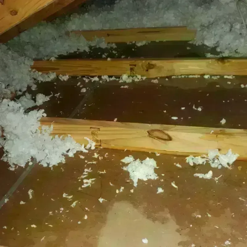 Attic Water Damage in Yardley, PA